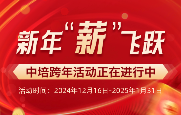 新年“薪”飞跃——中培跨年活动